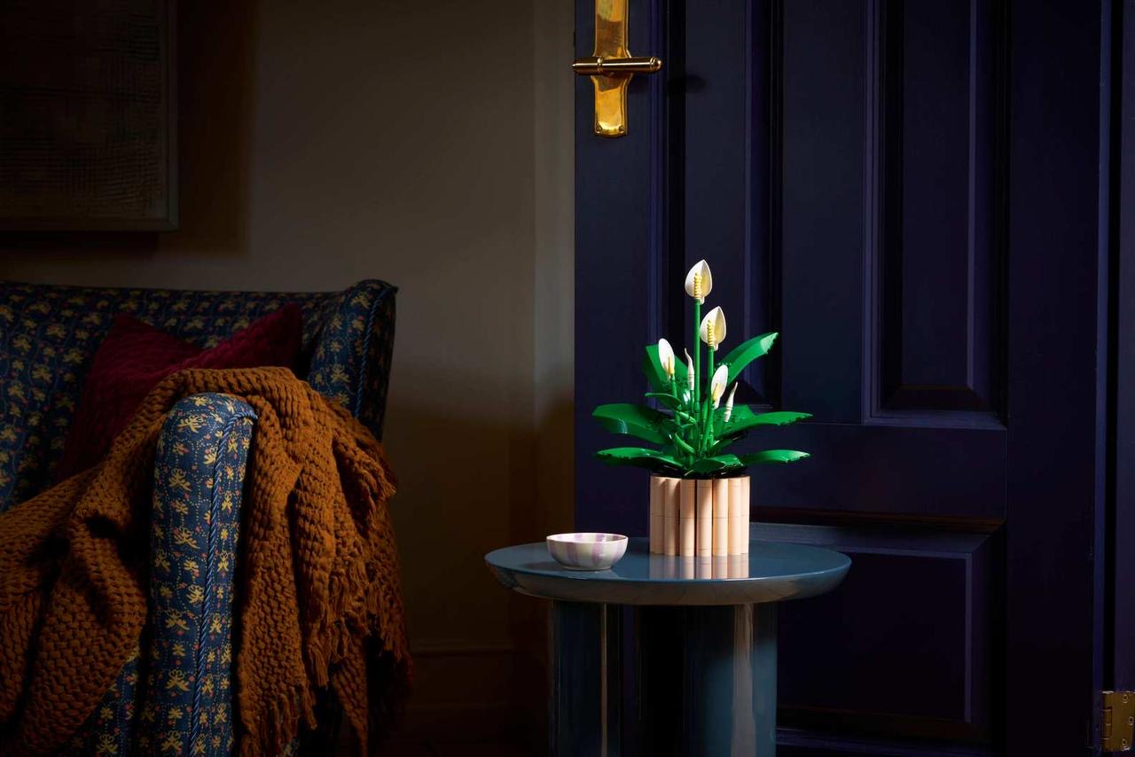 Icons Peace Lily