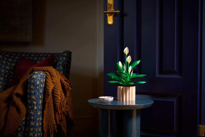 Icons Peace Lily