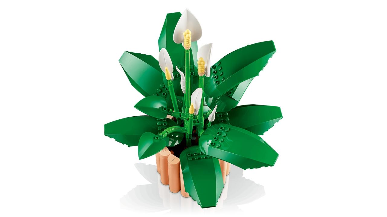 Icons Peace Lily